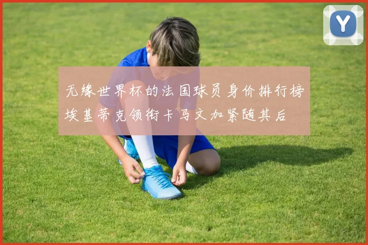 无缘世界杯的法国球员身价排行榜埃基蒂克领衔卡马文加紧随其后