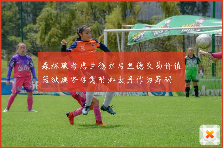 森林狼考虑兰德尔与里德交易价值若欲换字母需附加麦丹作为筹码